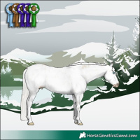 Horse Color:Gray White Spotted Silver Buckskin Pearl Dun Sabino Appaloosa 