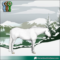 Horse Color:Gray White Spotted Silver Buckskin Pearl Dun Sabino Appaloosa 
