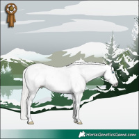 Horse Color:Gray White Spotted Silver Buckskin Pearl Dun Sabino Appaloosa 