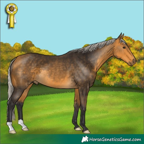 Horse Color:Silver Buckskin 