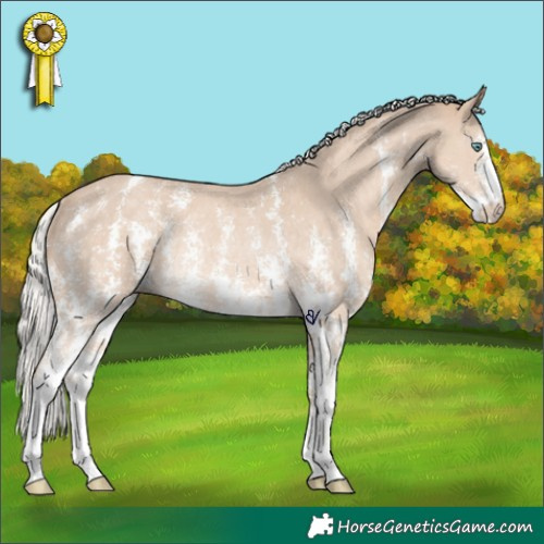 Horse Color:Silver Smoky Creme Sabino Rabicano 