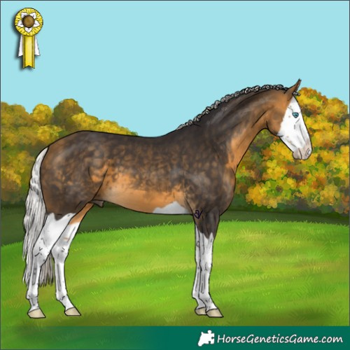 Horse Color:Silver Buckskin Splash 