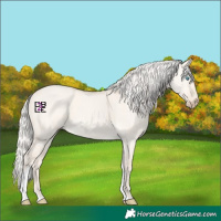 Horse Color:Cremello Dun Tobiano 