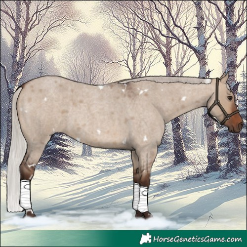 Horse Color:White Spotted Silver Brown Roan Dun 
