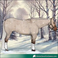 Horse Color:White Spotted Silver Brown Roan Dun 