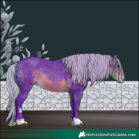 Horse Color:Watercolor Silver Buckskin 