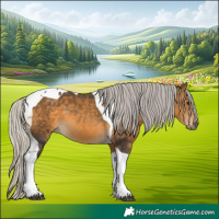 Horse Color:Silver Buckskin Tobiano 
