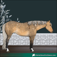 Horse Color:Silver Buckskin Dun 