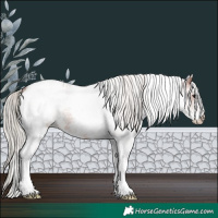Horse Color:White Spotted Silver Bay Roan Appaloosa 