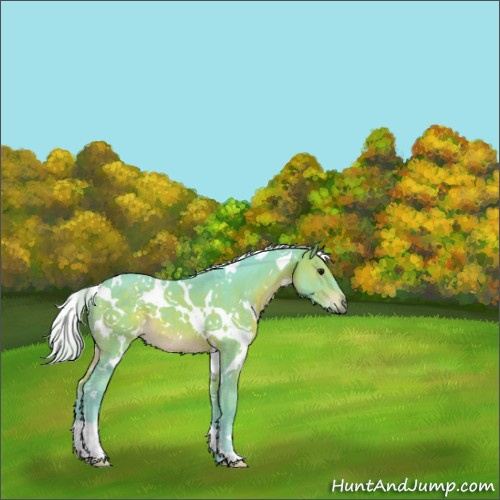 Horse Color:Watercolor White Spotted Silver Brown