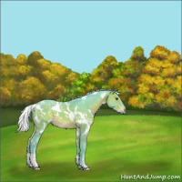 Horse Color:Watercolor White Spotted Silver Brown