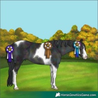 Horse Color:White Spotted Midnight Sable Champagne Chinchilla Ice Tobiano 