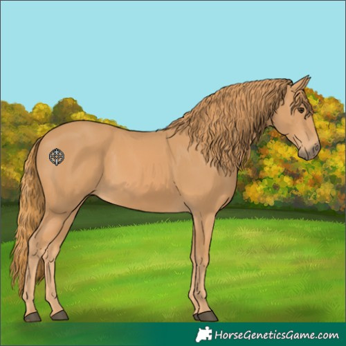 Horse Color:Unknown 