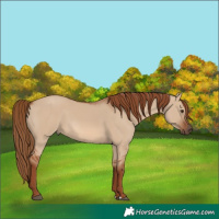 Horse Color:Red Dun 