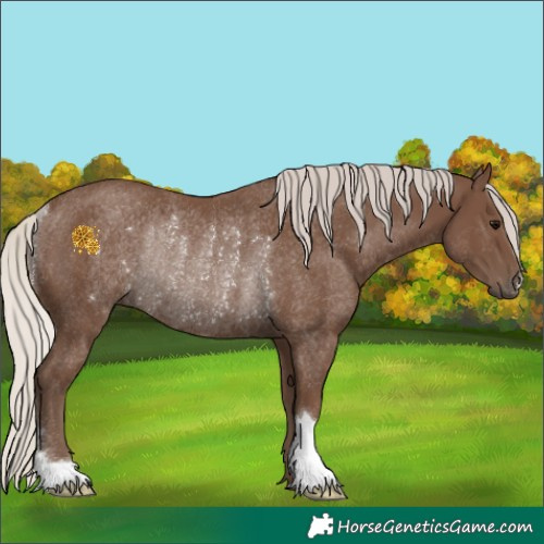 Horse Color:Silver Black Rabicano 