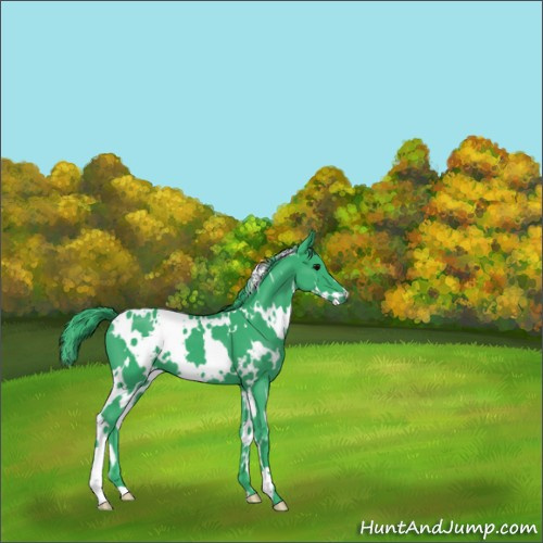 Horse Color:Watercolor White Spotted Black 