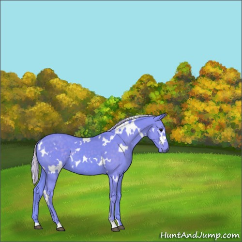 Horse Color:Watercolor White Spotted Silver Black 