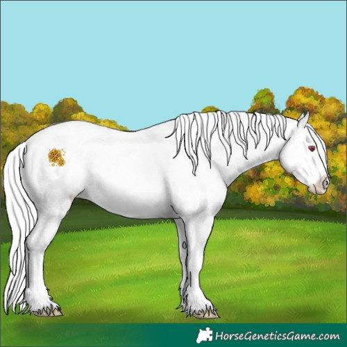 Horse Color:White Spotted Silver Amber Champagne Chinchilla Onyx Splash Snowcap Rabicano 