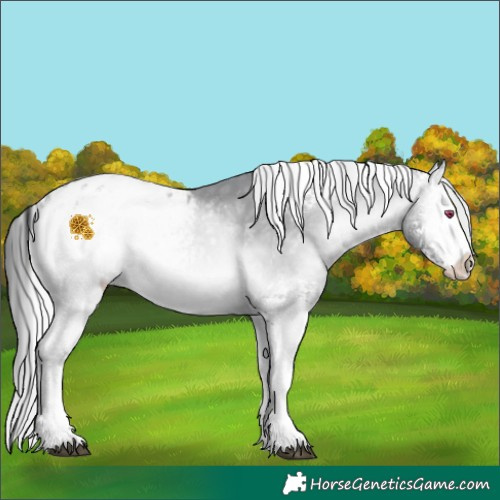 Horse Color:White Spotted Silver Bay Chinchilla Onyx Appaloosa Rabicano 