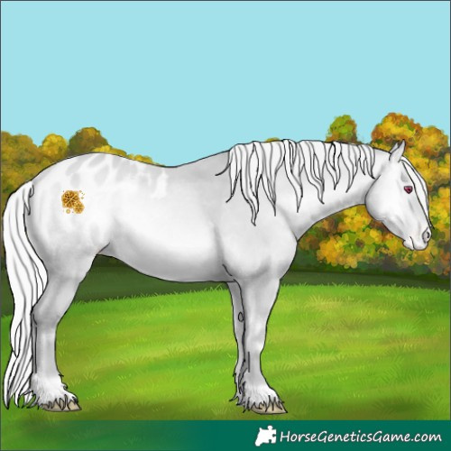 Horse Color:Silver Amber Champagne Chinchilla Onyx Appaloosa Rabicano 