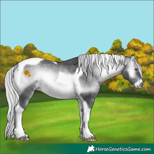 Horse Color:Silver Brown Chinchilla Onyx Tobiano Rabicano 