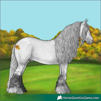 Horse Color:Silver Brown Chinchilla Ice Roan Dun Rabicano 