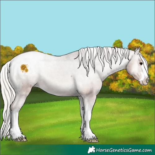 Horse Color:White Spotted Silver Blue Onyx Snowcap Rabicano 