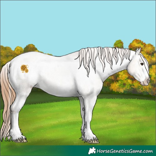 Horse Color:White Spotted Red Dun Ice Appaloosa 