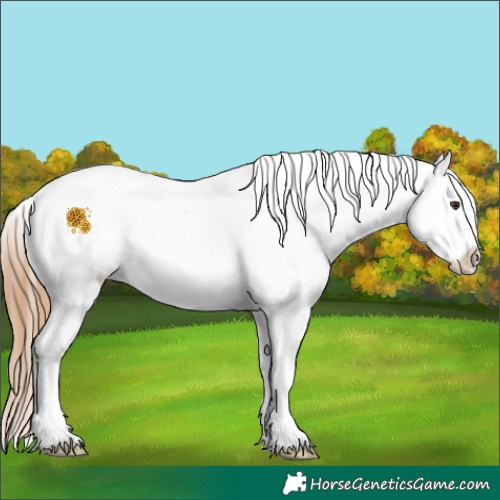 Horse Color:White Spotted Red Dun Ice Varnish 