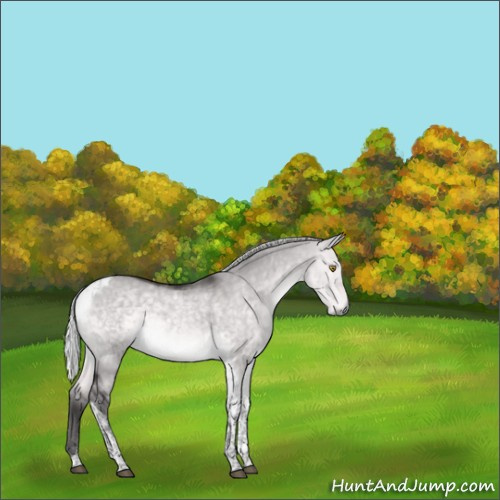 Horse Color:Platinum Silver Buckskin Dun Tobiano 