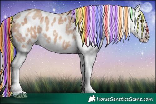 Horse Color:Painted White Spotted Amber Champagne Ice Appaloosa 