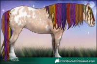 Horse Color:Painted White Spotted Amber Champagne Ice Appaloosa 