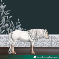 Horse Color:White Spotted Silver Classic Champagne Roan Pearl Dun Mushroom
