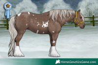 Horse Color:White Spotted Silver Black Tobiano 