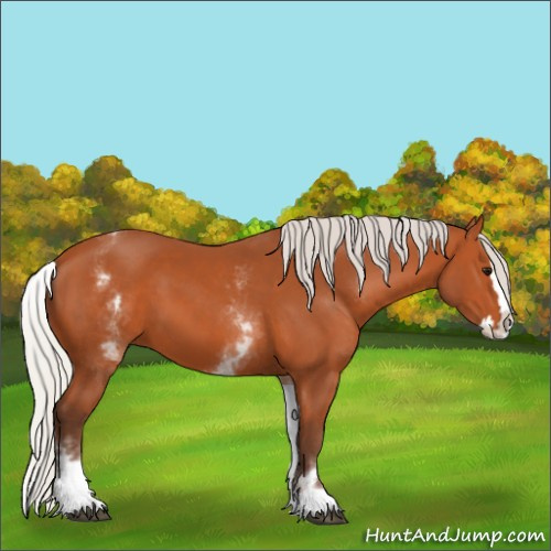 Horse Color:White Spotted Silver Bay Splash 