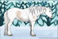 Horse Color:White Spotted Silver Black Ice Pearl Splash Tobiano