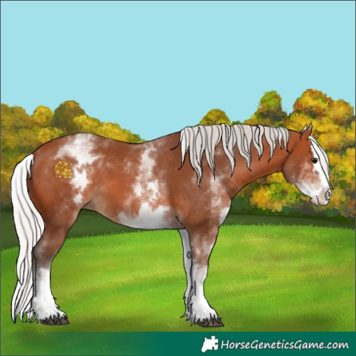 Horse Color:White Spotted Silver Bay Splash 