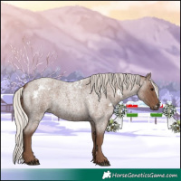 Horse Color:White Spotted Silver Blue Roan 