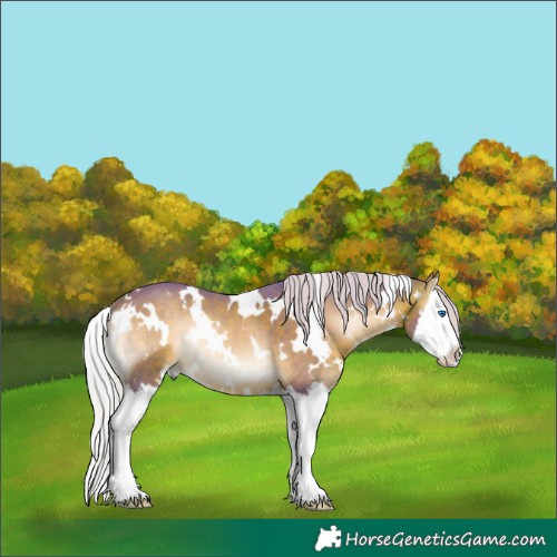 Horse Color:Watercolor White Spotted Silver Brown Onyx Mushroom Splash 