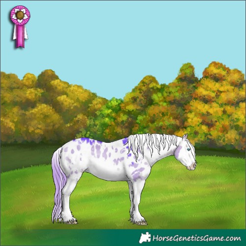 Horse Color:Watercolor White Spotted Bay Dun Splash Appaloosa 