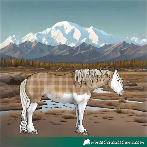 Horse Color:Plaid Silver Brown Dun Splash