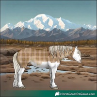 Horse Color:Plaid  Silver Brown Dun Splash 