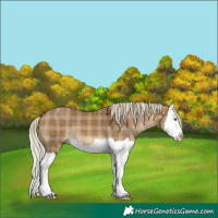 Horse Color:Plaid  Silver Brown Dun Splash 