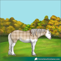 Horse Color:Plaid  Silver Brown Dun Splash 