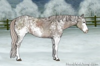 Horse Color:White Spotted Silver Black Ice Sabino Splash