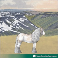 Horse Color:Watercolor White Spotted Silver Brown Pearl Dun Splash
