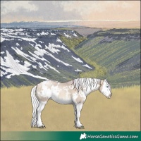 Horse Color:Watercolor White Spotted Silver Brown Pearl Dun Splash 