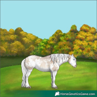 Horse Color:Watercolor White Spotted Silver Brown Pearl Dun Splash 
