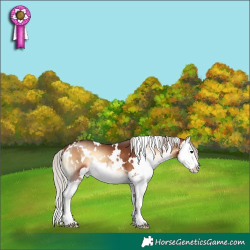 Horse Color:White Spotted Silver Brown Onyx Splash 