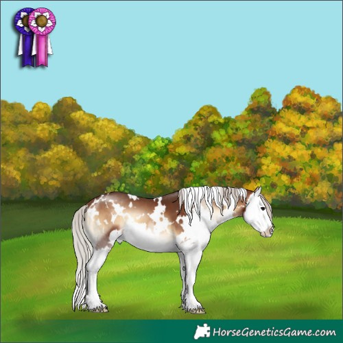 Horse Color:White Spotted Silver Brown Onyx Splash 